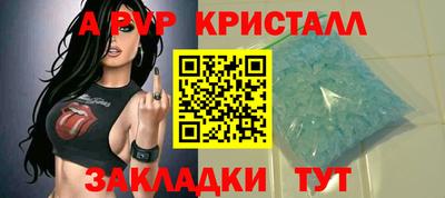2c-b Кингисепп