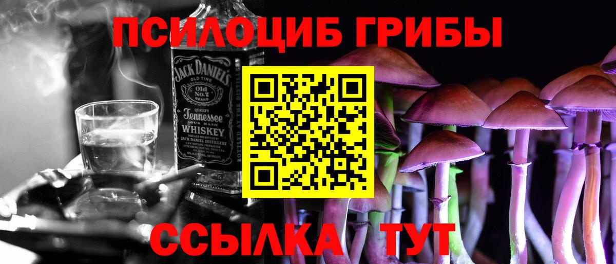 Псилоцибиновые грибы прущие грибы  Вход с VPN  Казань  купить  сайты  Псилоцибиновые грибы Psilocybine cubensis 